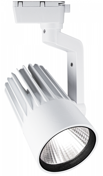 PTR  0130-2 30w 3000K 24град WH (белый) IP40 Jazzway