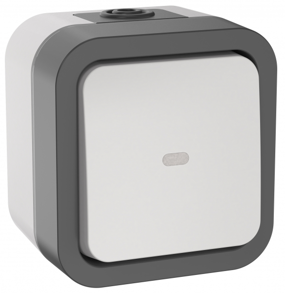 Переключатель одноклавишный с индикацией 10А IP55 TORS TS202 БЕЛЫЙ IEK