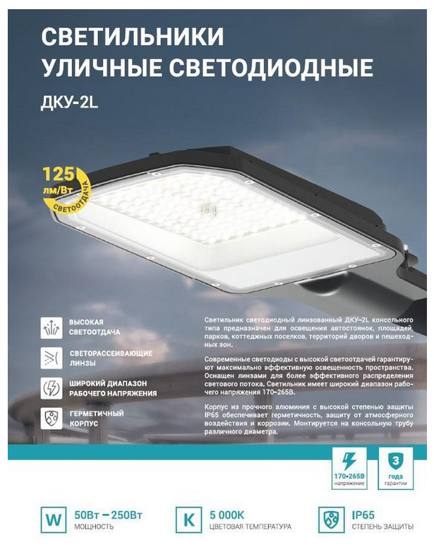 Светильник уличный линзованный светодиодный ДКУ-2L 120Вт 230В 5000К 15000Лм 125лм/Вт 48-70мм IP65 NEOX