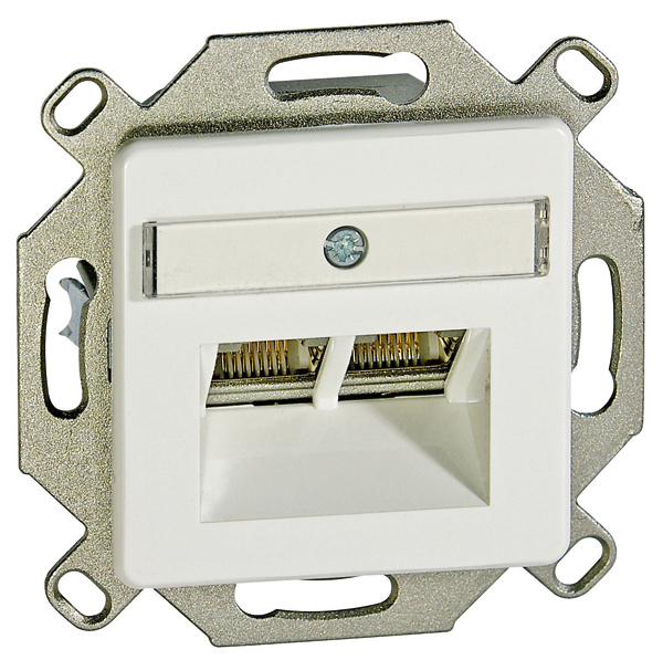 Legrand 775887 G.L.Роз.RJ 45 кат.5еFSTP2вых.