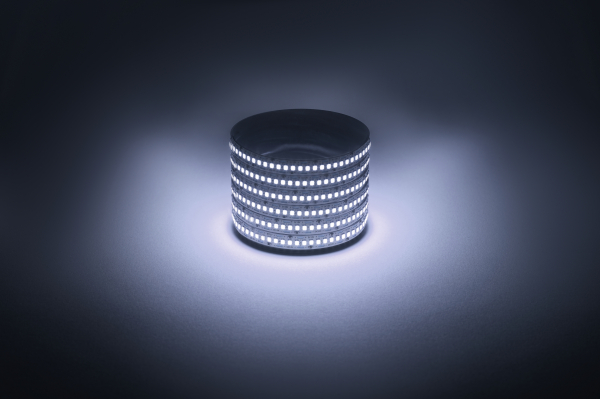 ЭРА Лента  IP20  12V  19,2Вт/м 6500К LED 5м  LS2835 -19,2-240-12-6500K-IP20-1