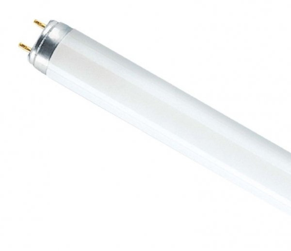 Люминесцентная лампа OSRAM L 36Вт 640  G13 4000K Смоленск