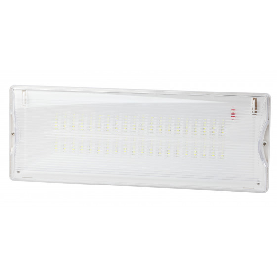 Аварийный светильник ЭРА DPA-301-1-65 постоянный 40LED 3ч IP65 NiCD