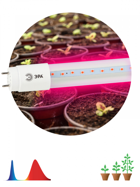 Светодиодная лампа ЭРА Т8 18Вт 1200К 190-250В  G13 для растений